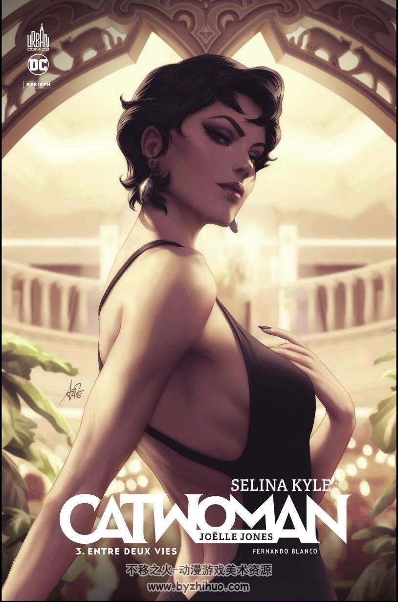 Catwoman Selina Kyle 漫画3本全 百度网盘下载