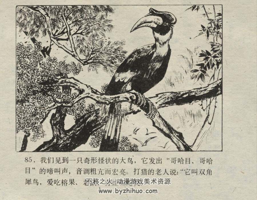 在密林中 仿印 湖南美术 1983 PDF格式连环画 百度网盘下载