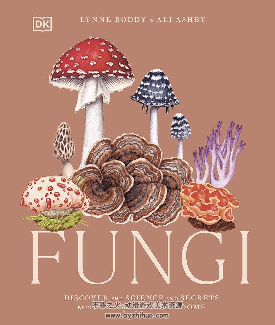 Fungi 真菌物种 艺用素菜参考 百度网盘下载