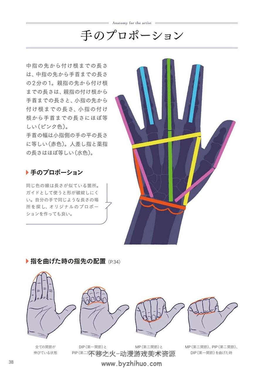 手+足の美術解剖学 加藤公太 手脚绘制参考 百度网盘下载