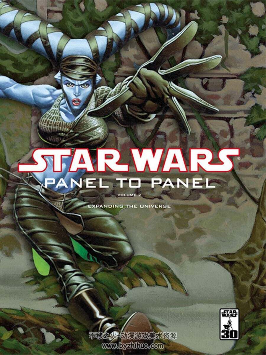 Star Wars Panel To Panel Vol.1~2 星戰(zhàn)系列的畫集 百度網(wǎng)盤下載