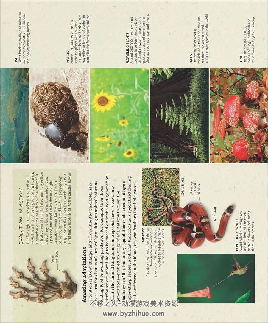 The Practical Naturalist 图鉴类科普书籍 百度网盘下载