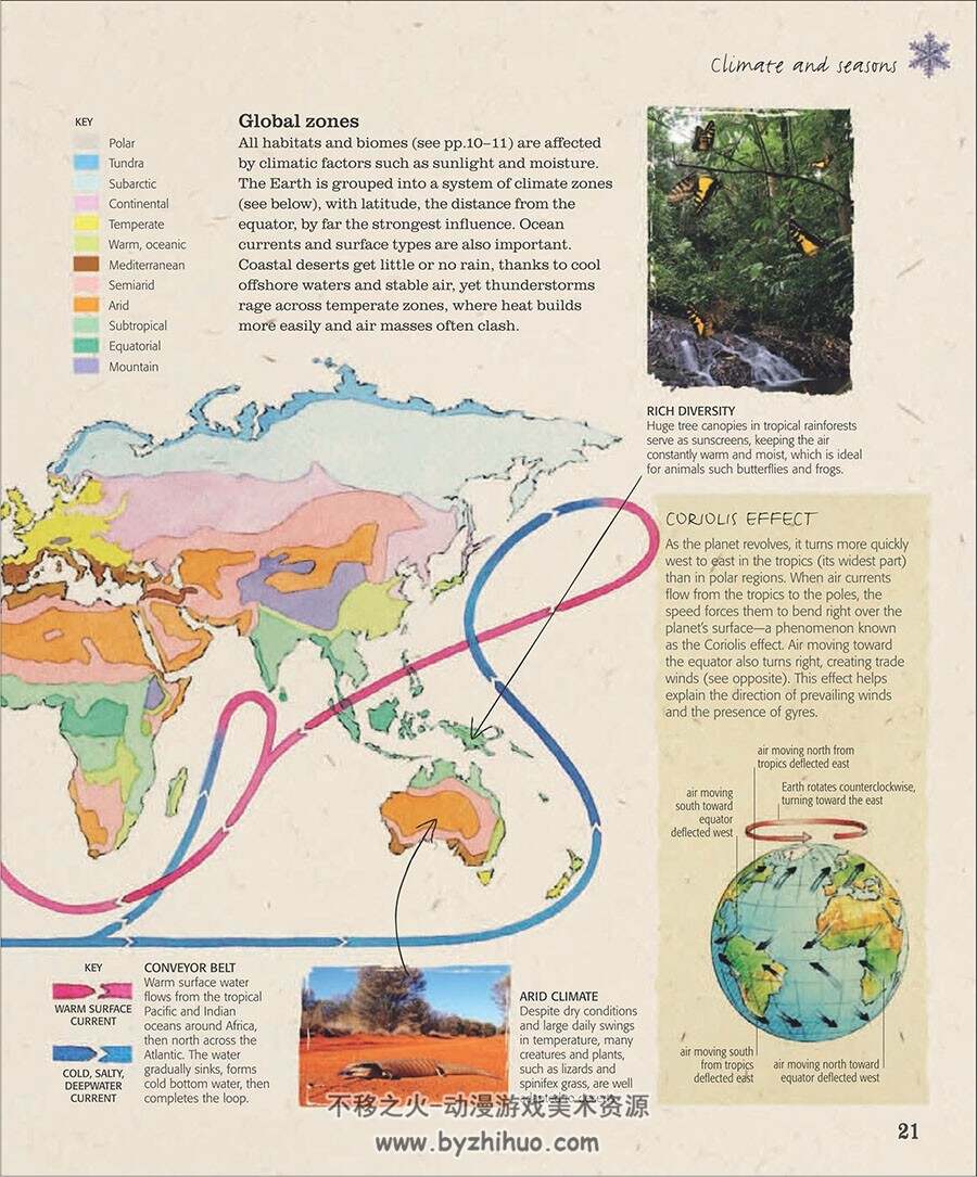 The Practical Naturalist 图鉴类科普书籍 百度网盘下载