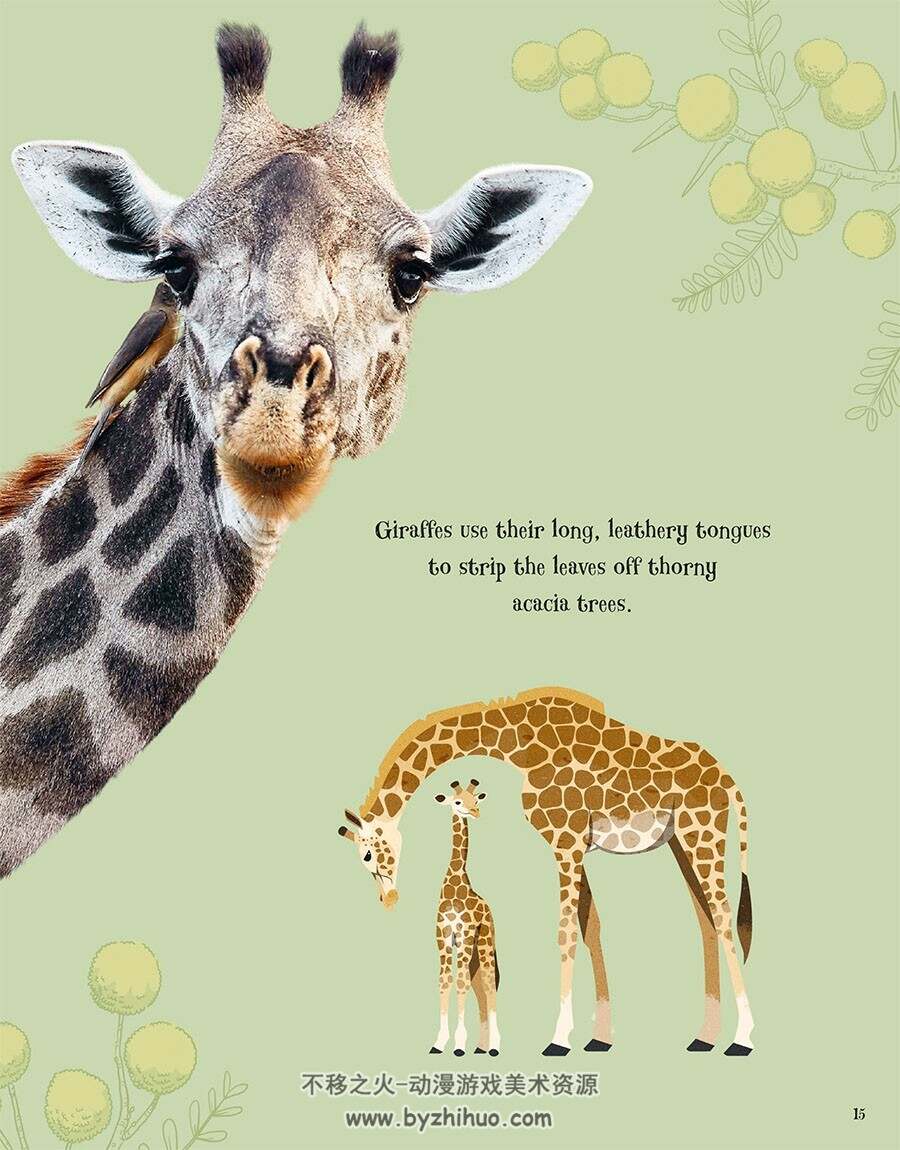 An Anthology of Intriguing Animals 动物图鉴类画集 百度网盘下载