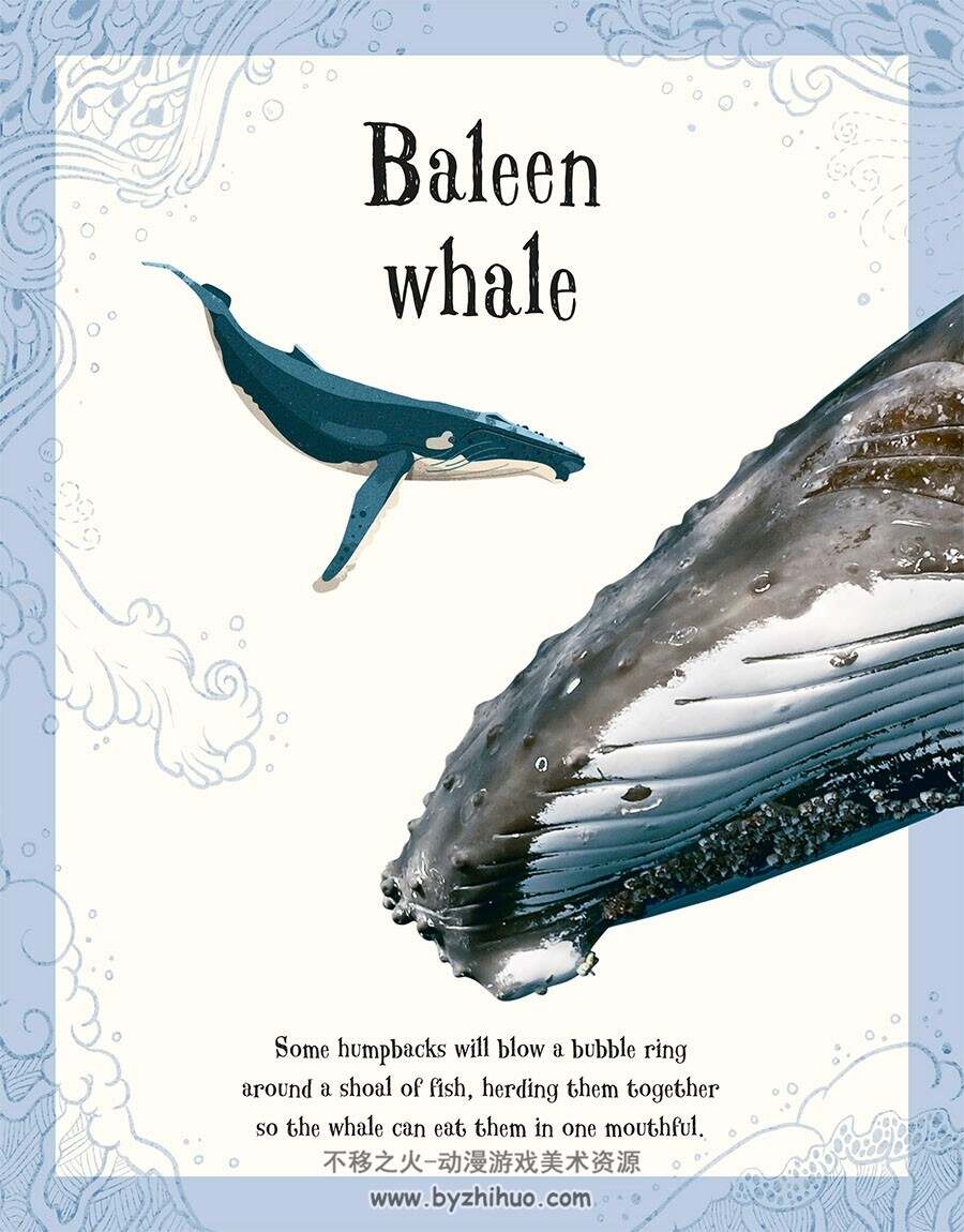 An Anthology of Intriguing Animals 动物图鉴类画集 百度网盘下载