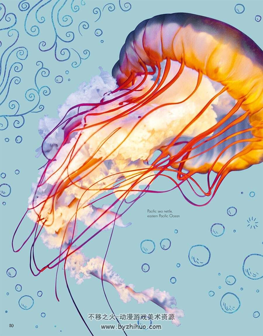 An Anthology of Intriguing Animals 动物图鉴类画集 百度网盘下载
