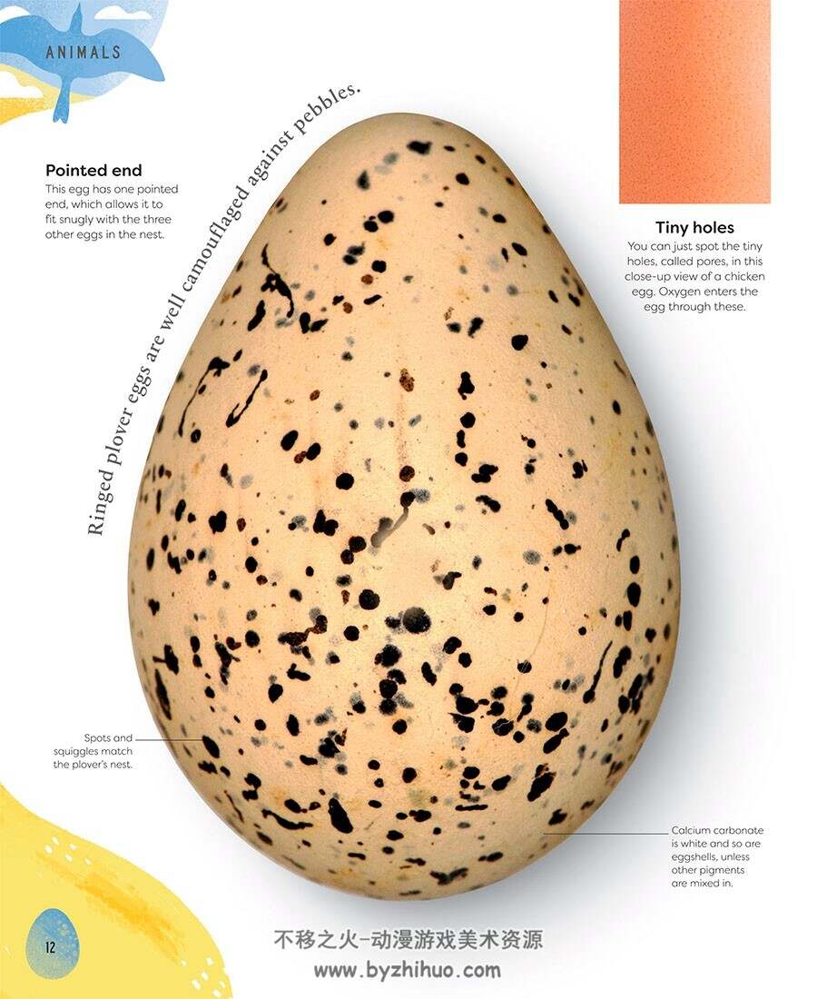 Nature’s Treasures 自然百科书参考素材 百度网盘下载