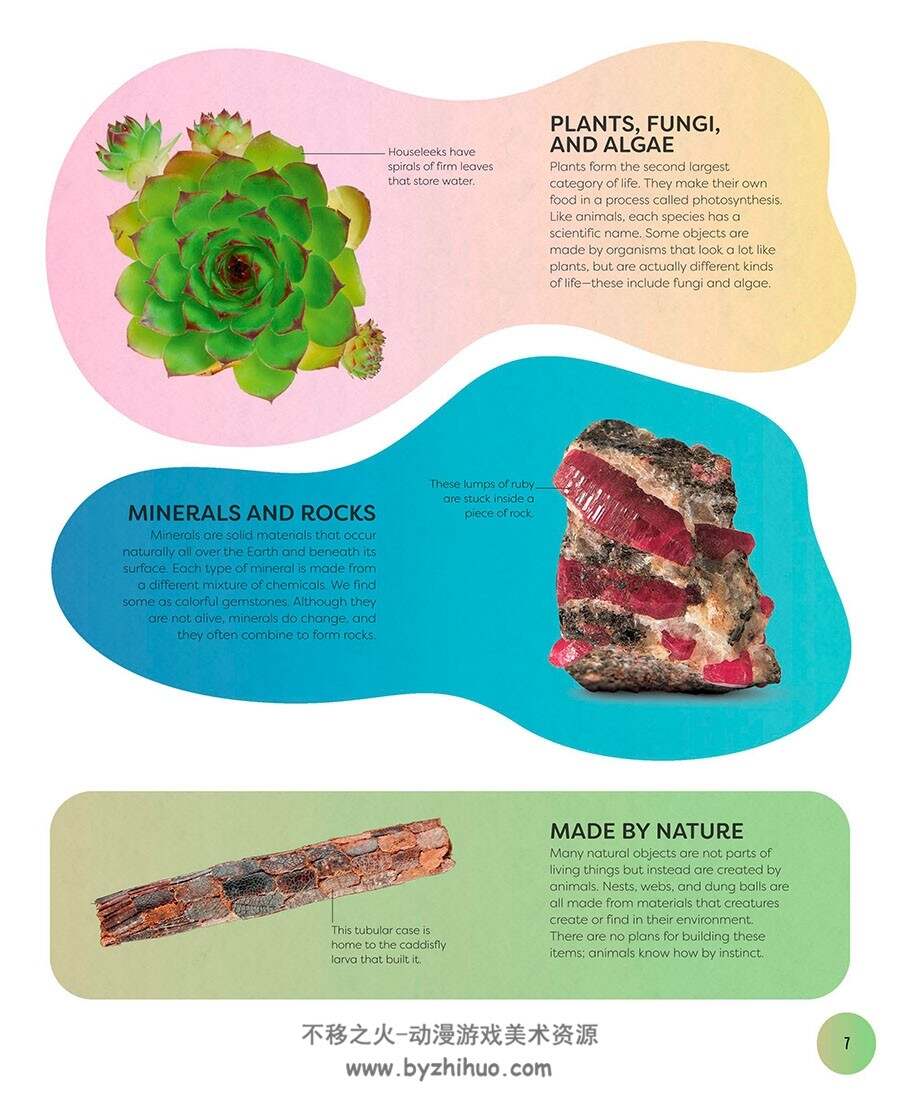 Nature’s Treasures 自然百科书参考素材 百度网盘下载