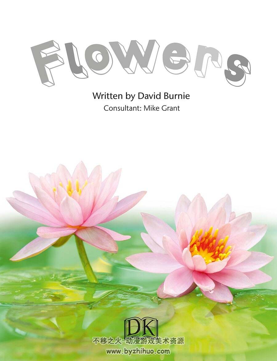 Flowers: Explore Nature with Fun Facts and Activities自然科普参考 百度云下载
