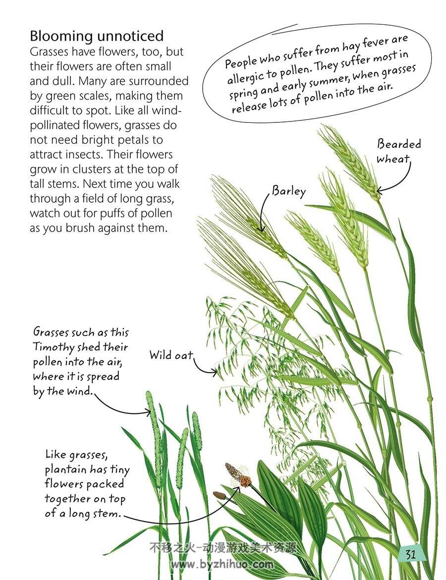 Flowers: Explore Nature with Fun Facts and Activities自然科普参考 百度云下载