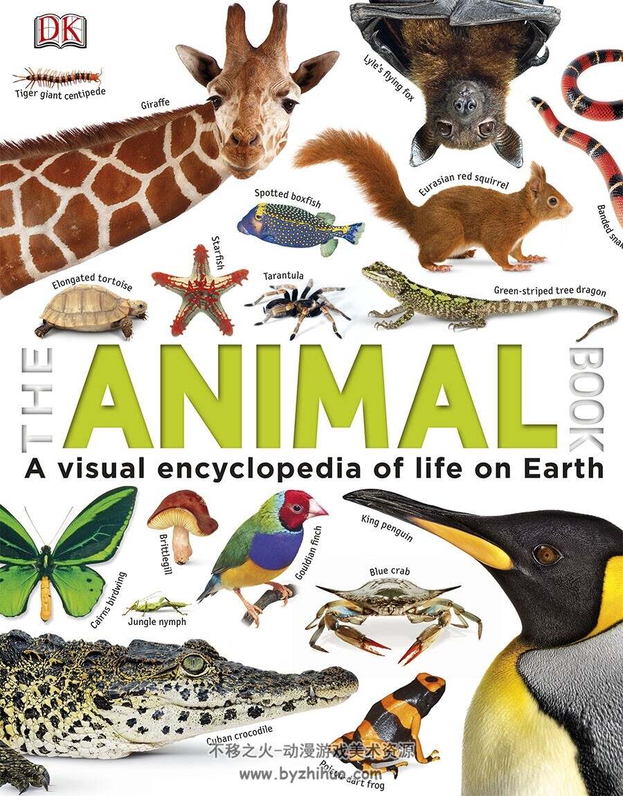 The Animal Book A Visual Encyclopedia of Life on Earth 生命百科参考 百度网盘下载
