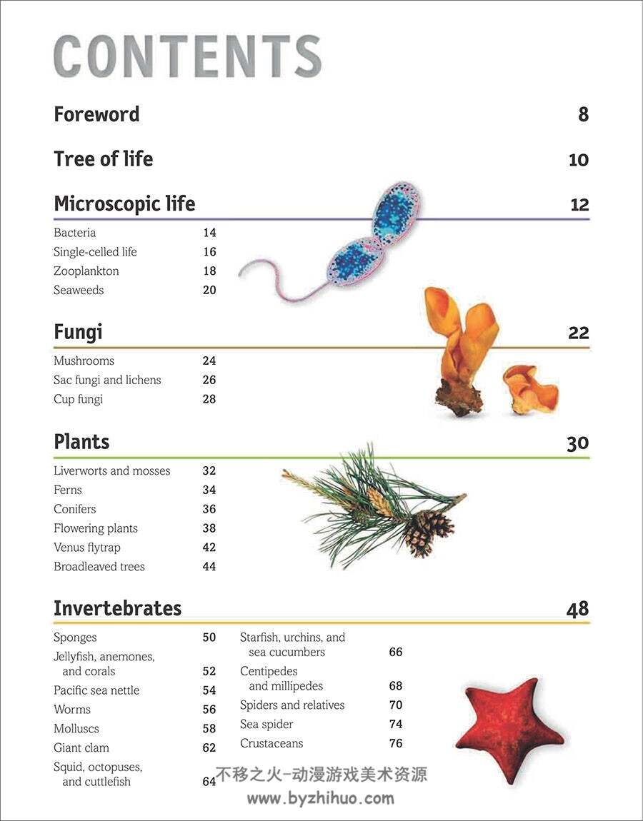 The Animal Book A Visual Encyclopedia of Life on Earth 生命百科参考 百度网盘下载