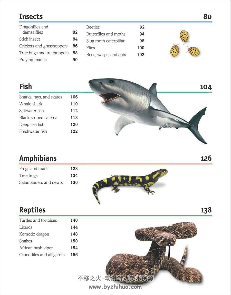 The Animal Book A Visual Encyclopedia of Life on Earth 生命百科参考 百度网盘下载