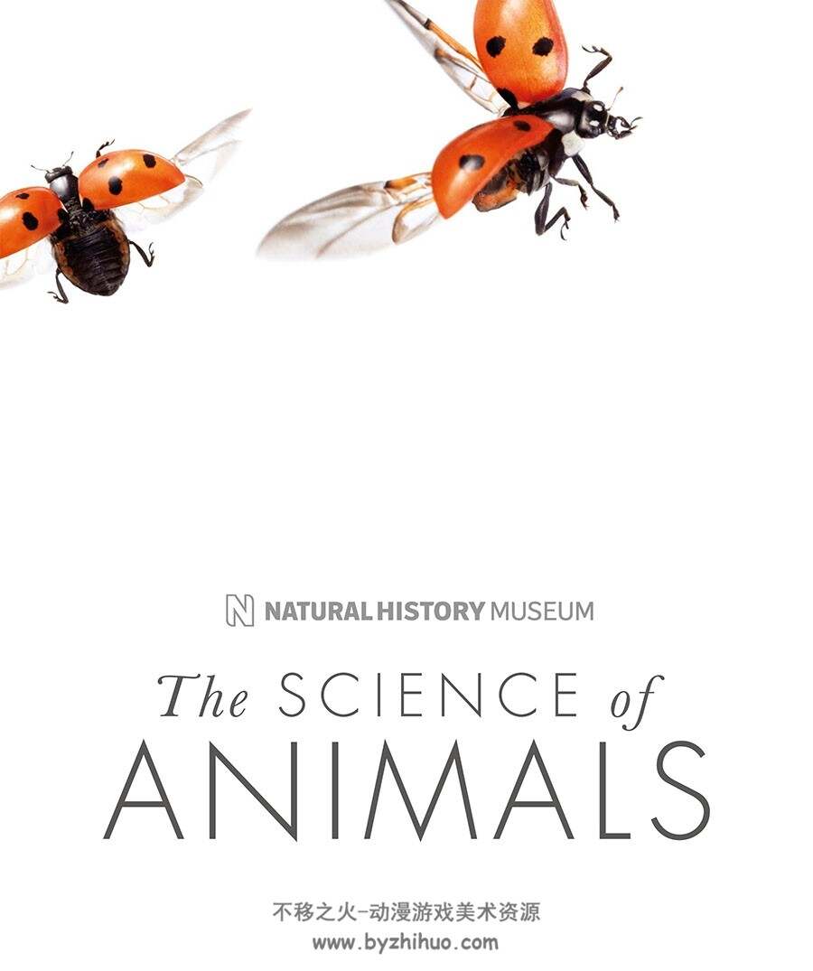 The Science of Animals: Inside Their Secret World动物百科视觉参考 百度网盘下载