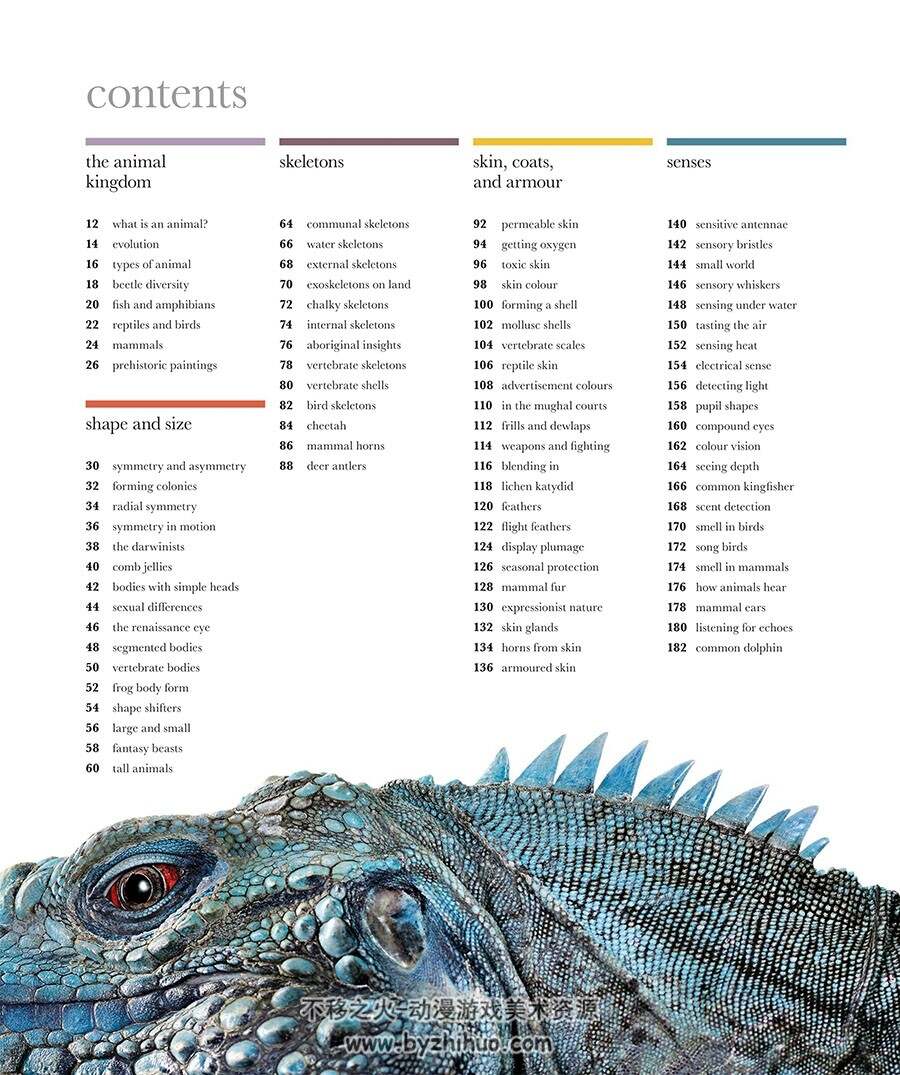The Science of Animals: Inside Their Secret World动物百科视觉参考 百度网盘下载