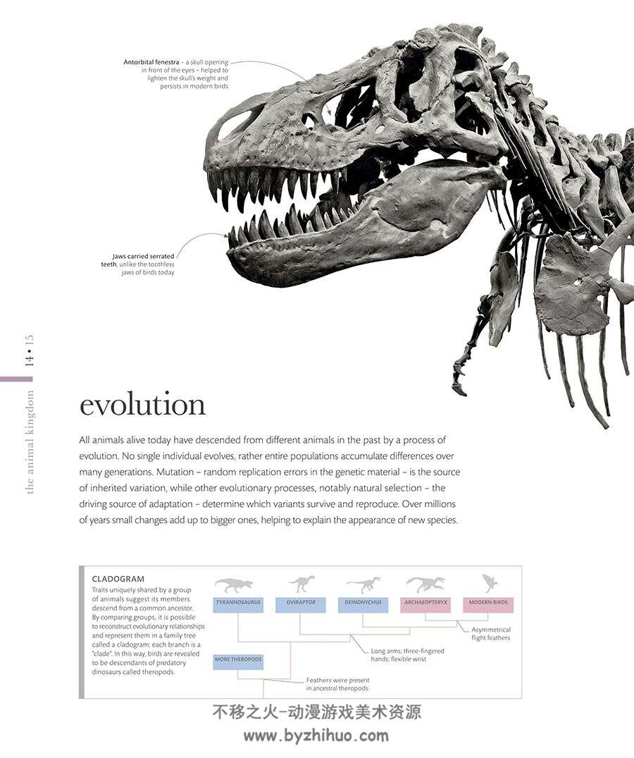 The Science of Animals: Inside Their Secret World动物百科视觉参考 百度网盘下载