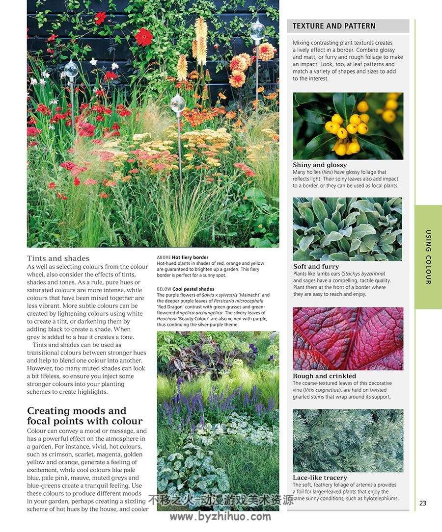 RHS Encyclopedia of Plants and Flowers 植物图鉴参考 百度网盘下载