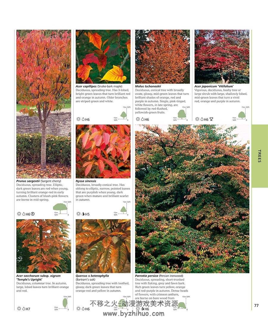 RHS Encyclopedia of Plants and Flowers 植物图鉴参考 百度网盘下载