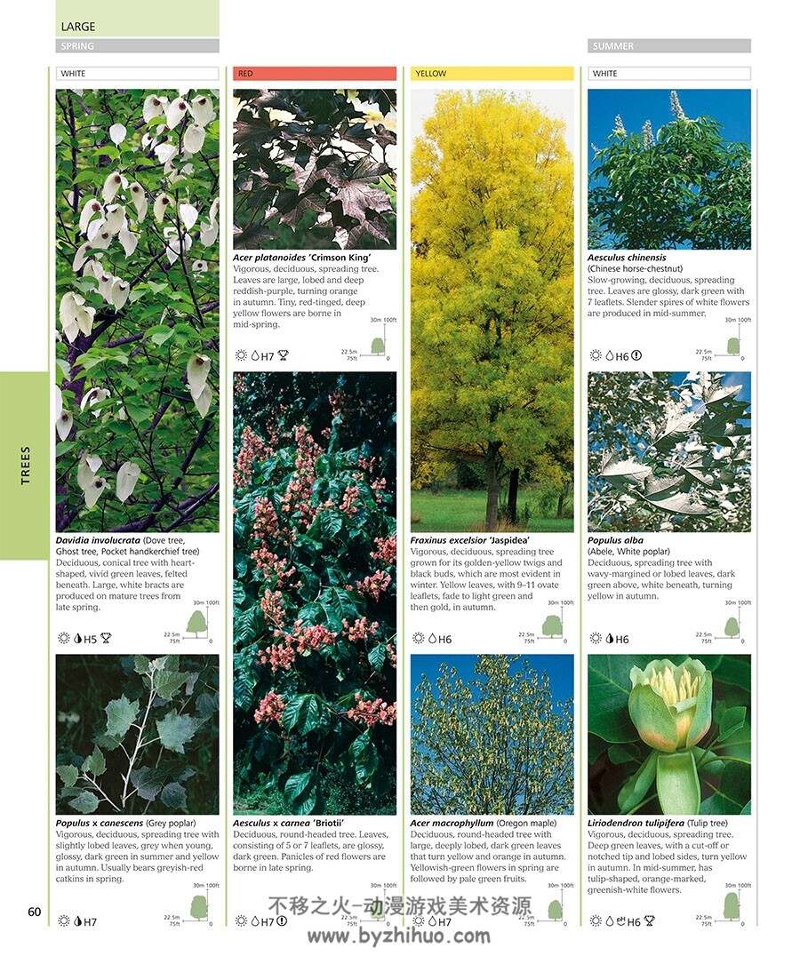 RHS Encyclopedia of Plants and Flowers 植物图鉴参考 百度网盘下载