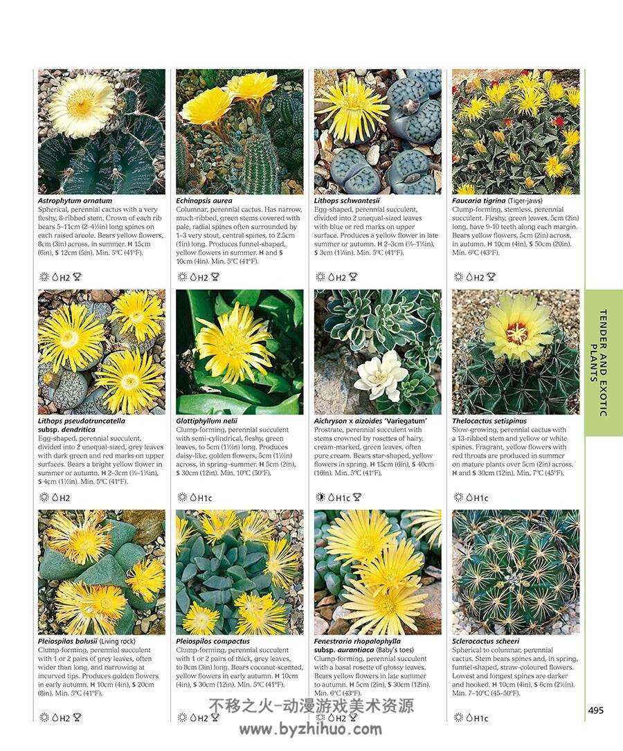 RHS Encyclopedia of Plants and Flowers 植物图鉴参考 百度网盘下载