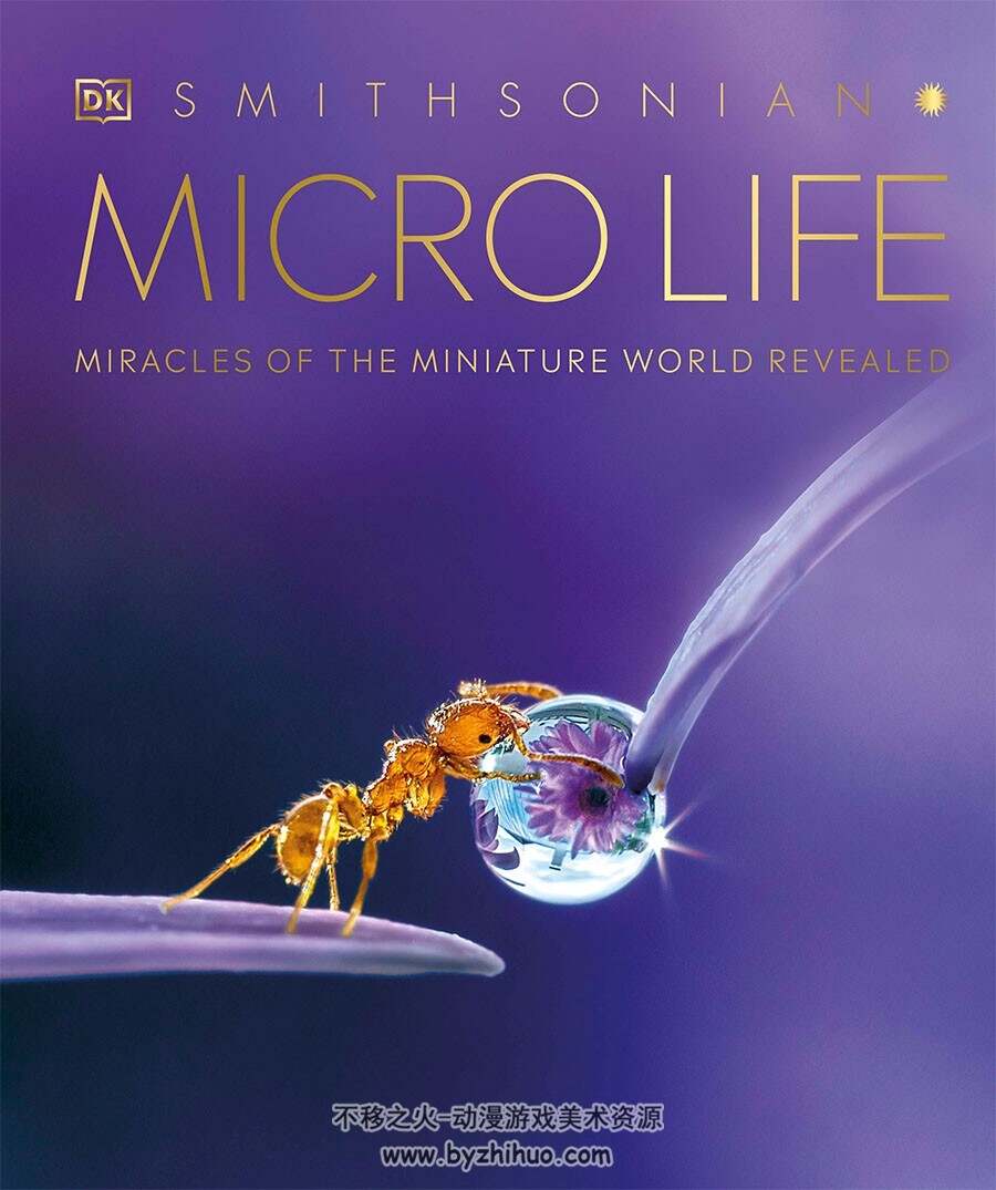 Micro Life: Miracles of the Miniature World Revealed 微觀生命視覺畫集百度網(wǎng)盤下載