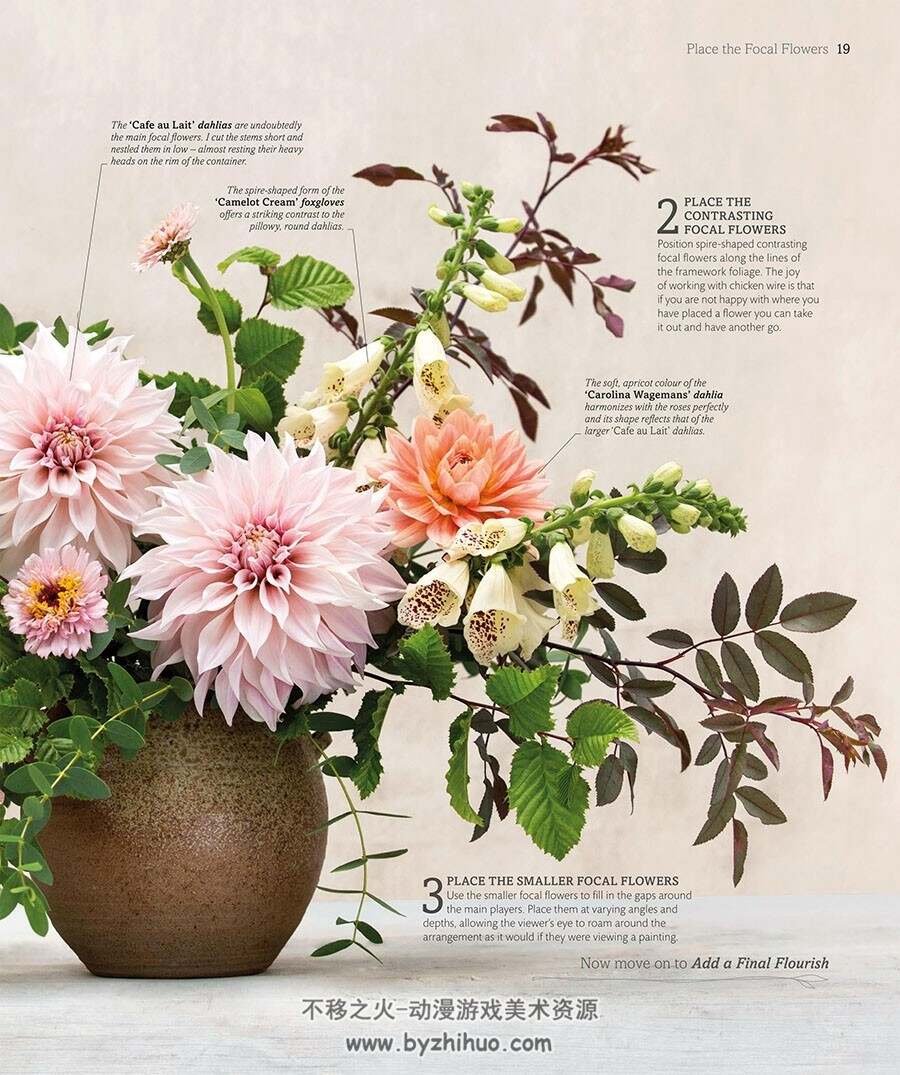 The Flower Book: Let the Beauty of Each Bloom Speak for Itself 花卉画集 百度云下载