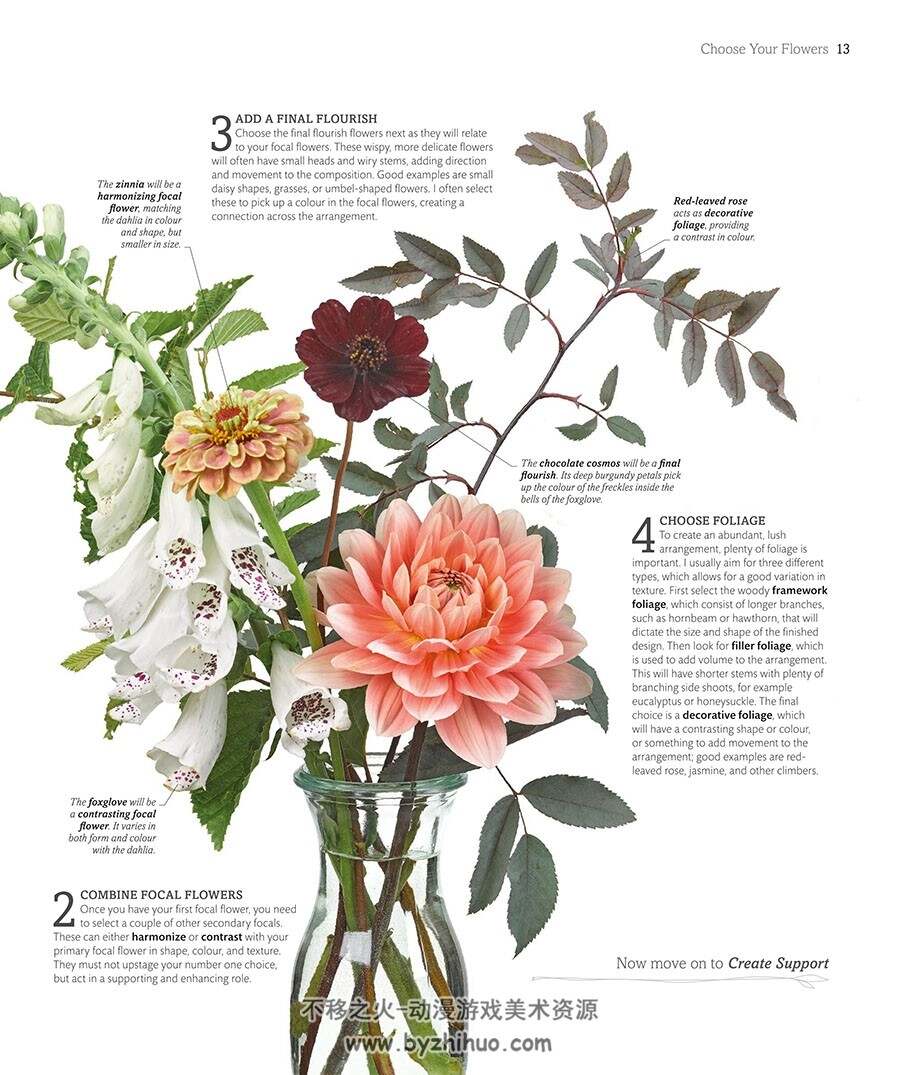 The Flower Book: Let the Beauty of Each Bloom Speak for Itself 花卉画集 百度云下载