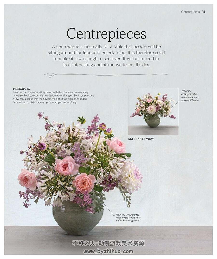 The Flower Book: Let the Beauty of Each Bloom Speak for Itself 花卉画集 百度云下载