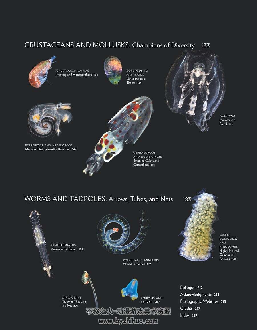 Plankton: Wonders of the Drifting World海洋微生物图鉴 百度网盘下载
