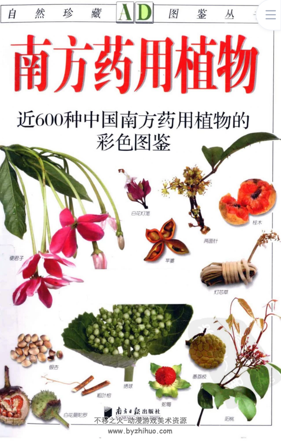 南方药用植物 近600种中国南方药用植物的彩色图鉴 PDF下载