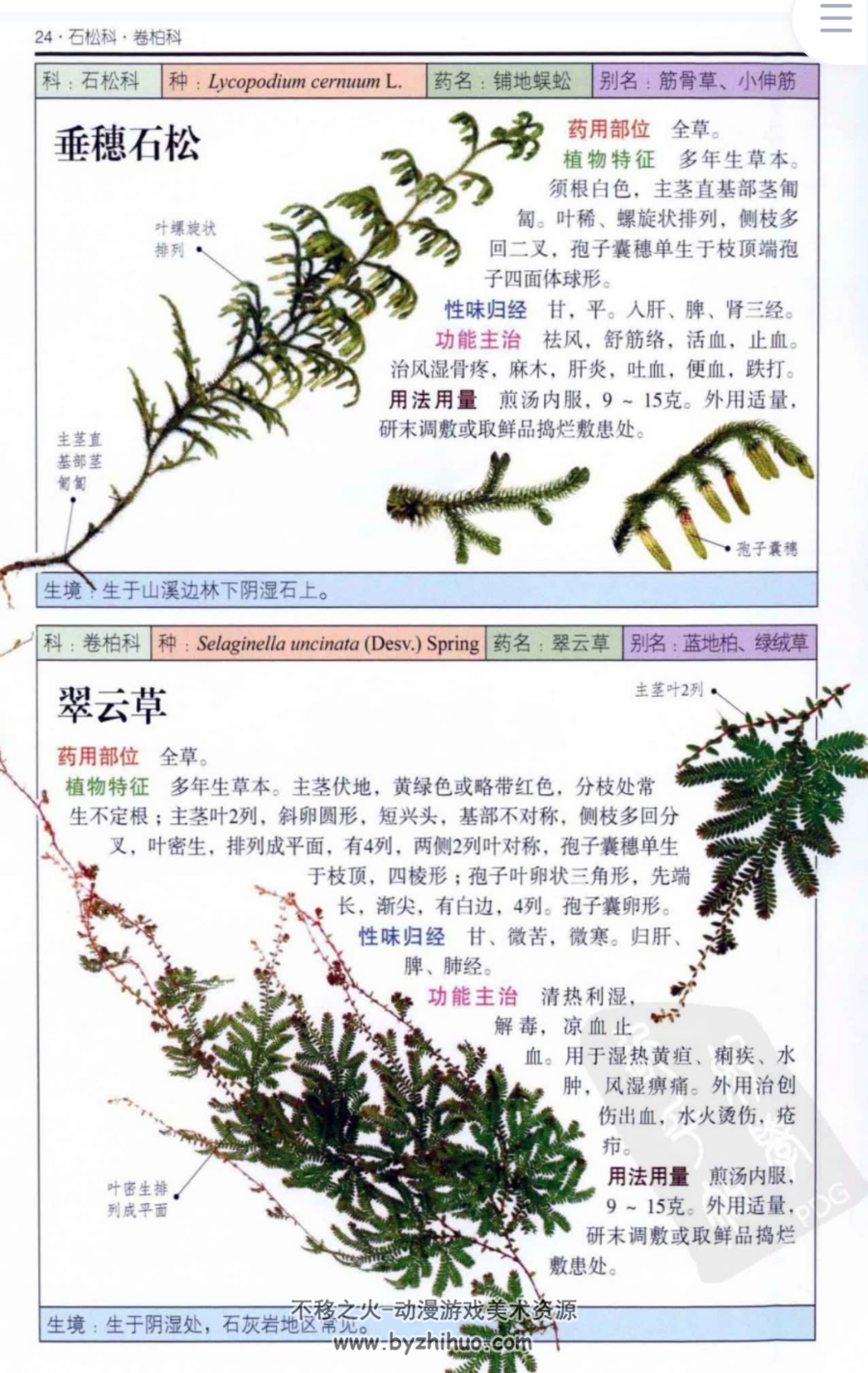 南方药用植物 近600种中国南方药用植物的彩色图鉴 PDF下载