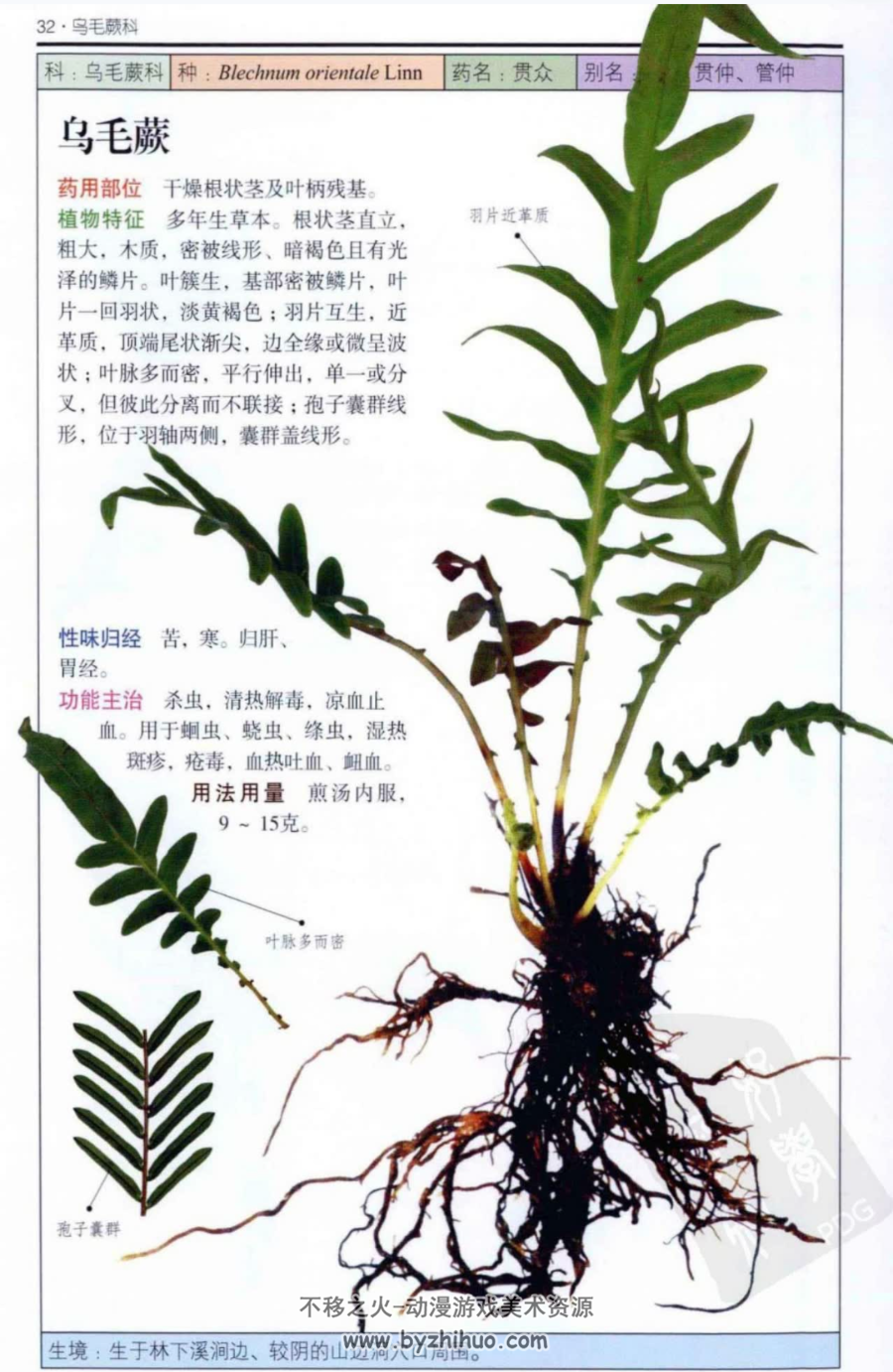 南方药用植物 近600种中国南方药用植物的彩色图鉴 PDF下载