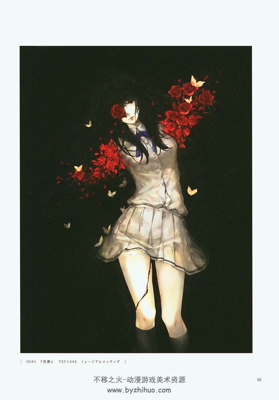Innocent Innocent Grey Art Exhibition 白夜公式図録 杉菜水姫 Grey