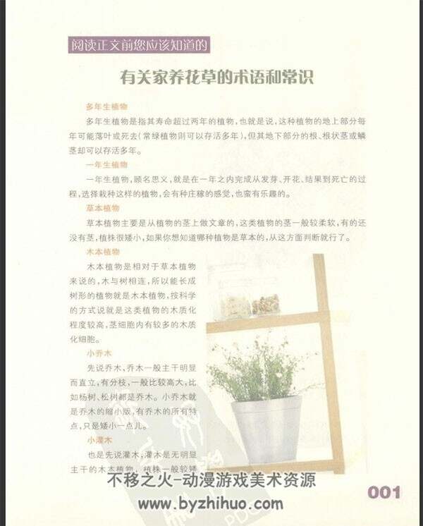 有益室内植物128种 百度网盘下载