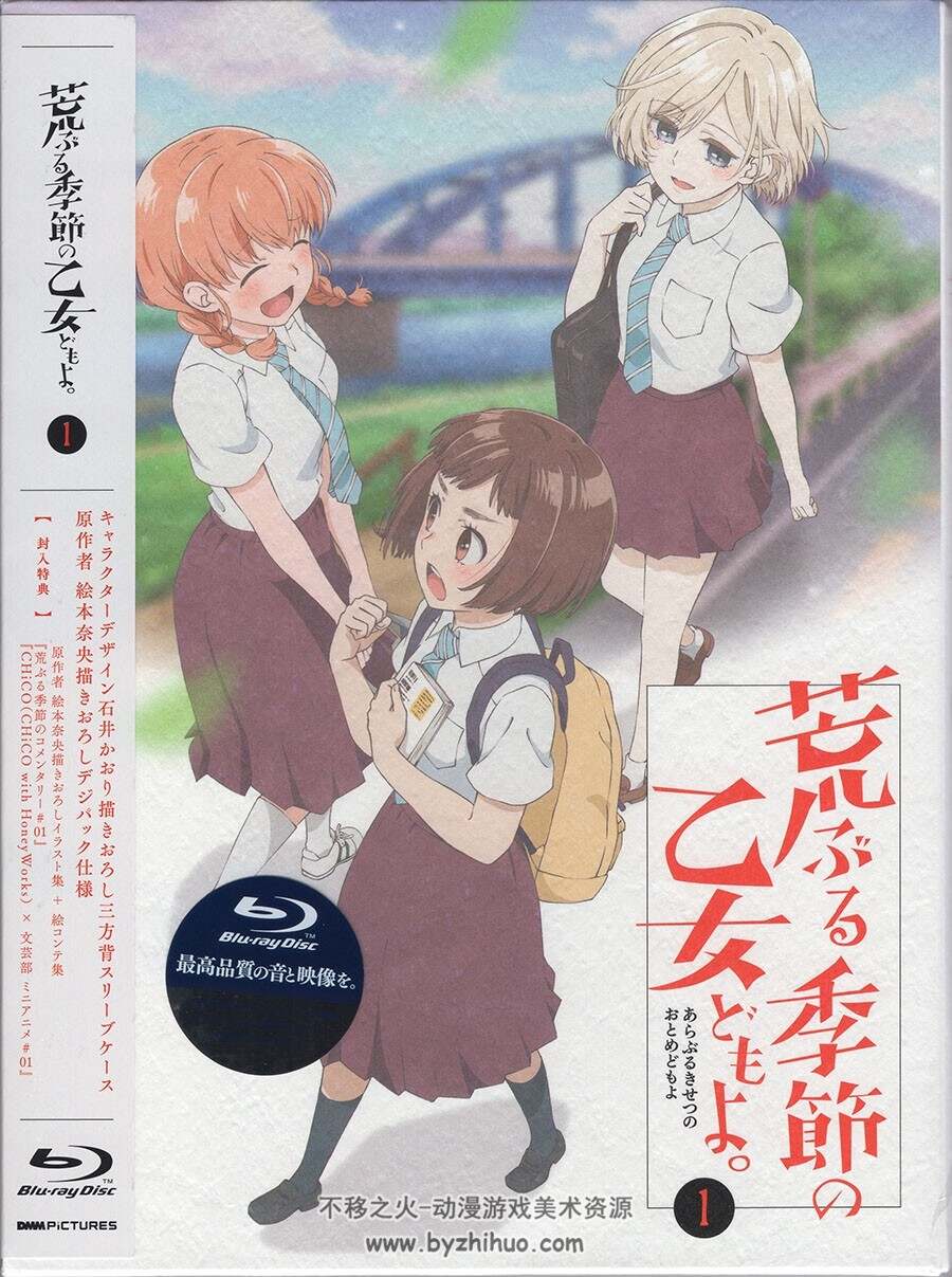 骚动时节的少女们啊 荒ぶる季節の乙女どもよ BD小册子 百度网盘下载