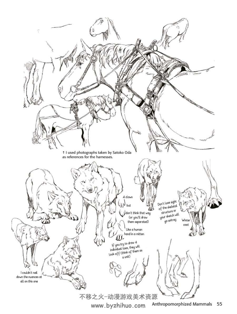 绘制奇幻兽人 兽人动态动作 A Guide to Drawing Manga Fantasy Furries英文原版 下载