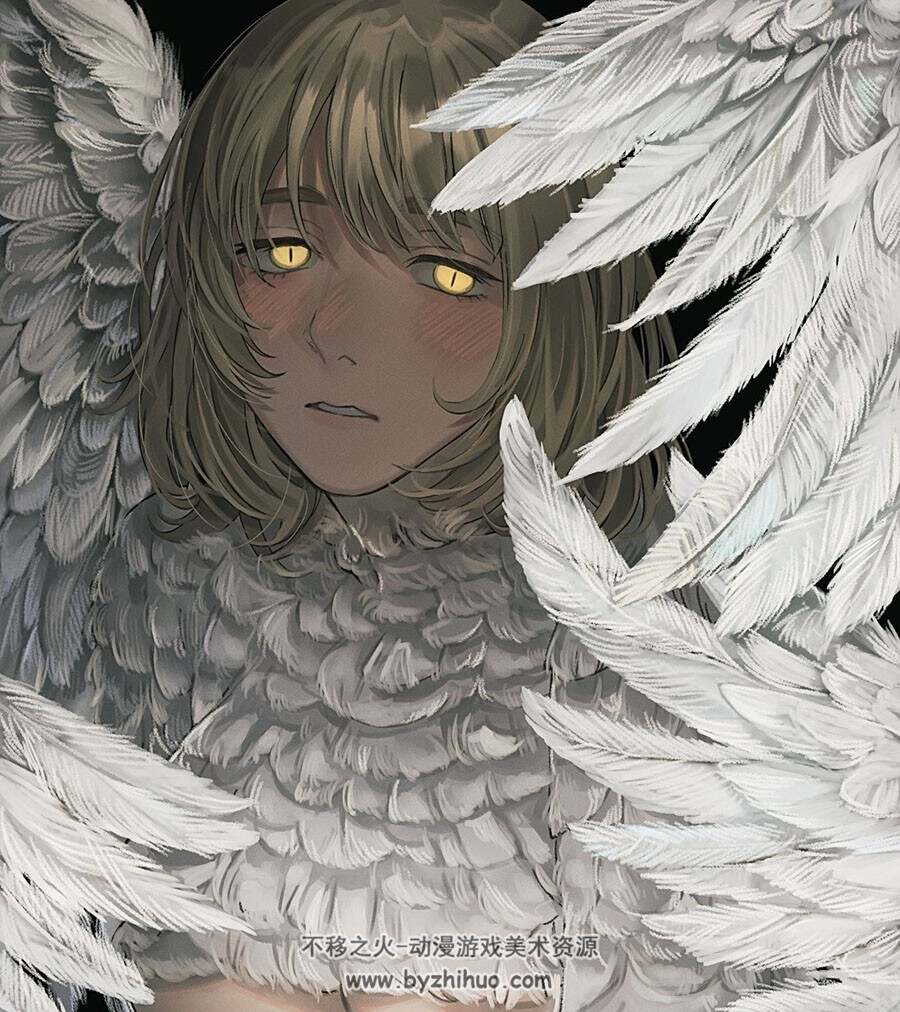 插画师 笹倉 sasakura34 美术插画作品 百度网盘下载