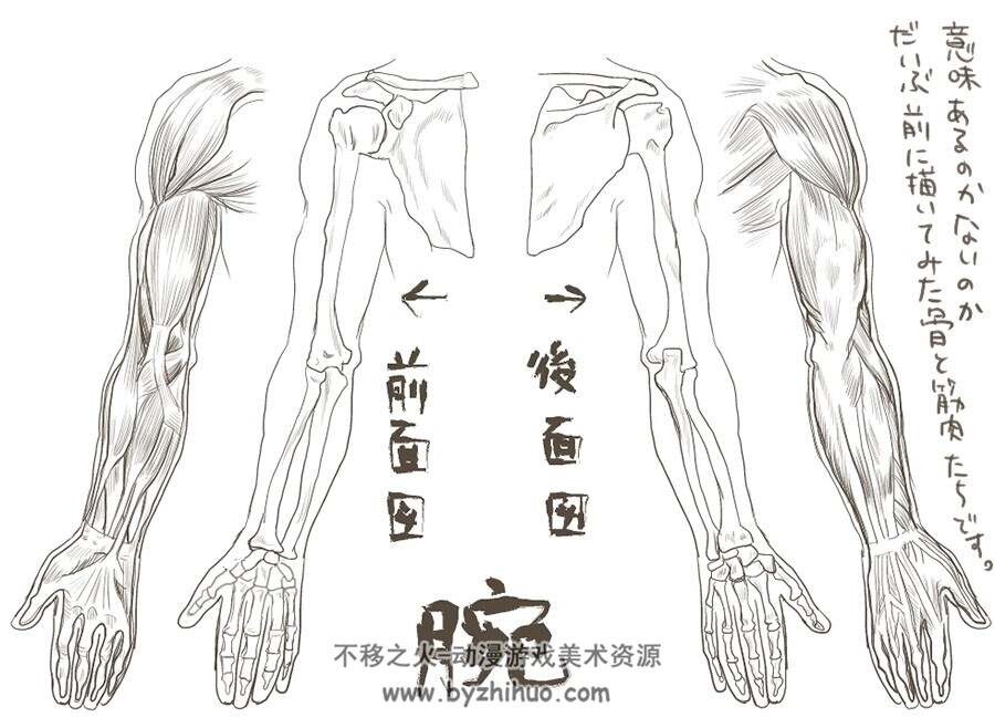 画师らびまる rabimaru 插画美术作品 百度网盘下载