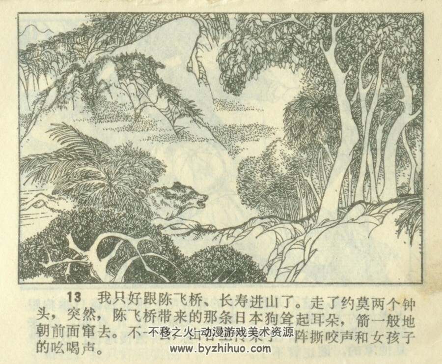 挺进野猫湖 PDF格式连环画 百度网盘下载