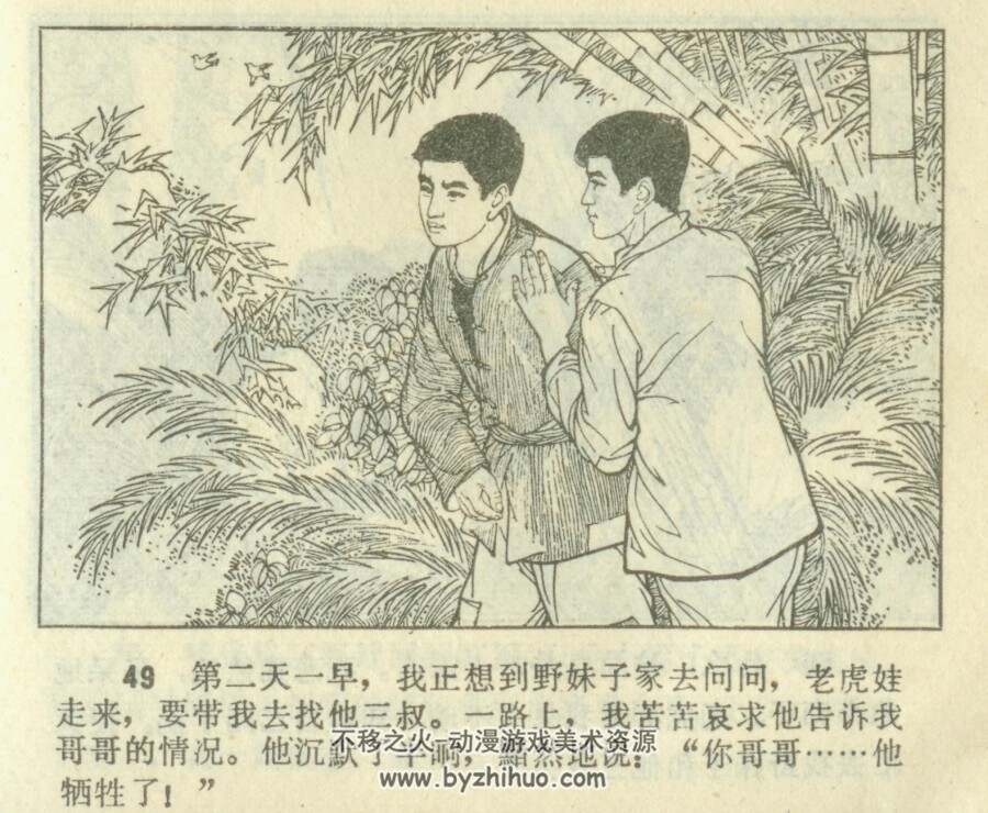 挺进野猫湖 PDF格式连环画 百度网盘下载