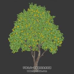 游戲場(chǎng)景植物 橘子樹(shù)3DMax模型下載