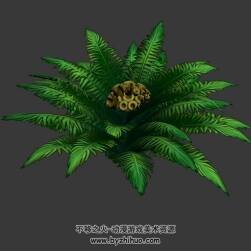蕨類植被 3D模型下載 四角面 max格式