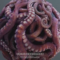 Substance Designer 高精章魚觸手 逼真模型制作渲染貼圖視頻教程