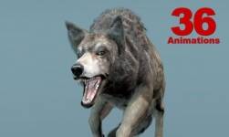 Forest Animal - Wolf 5.0