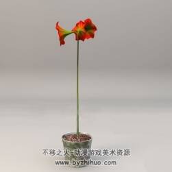 C4D办公室红花花卉盆景3D模型分享下载