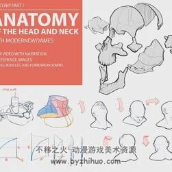 人体头部颈部肌肉 解剖绘画结构手绘教程
