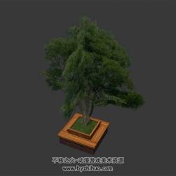 公园景观树 3D模型下载 四角面 max格式