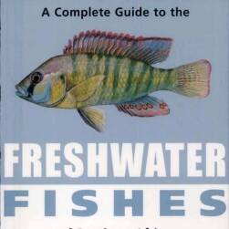 南部非洲淡水鱼类图鉴 英文本 PDF格式 百度网盘下载
