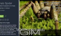 unity3d 蜘蛛模型 Animals Spider 1.0