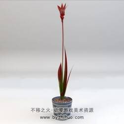Bonsai flowers 盆景花卉3D模型C4D格式下载